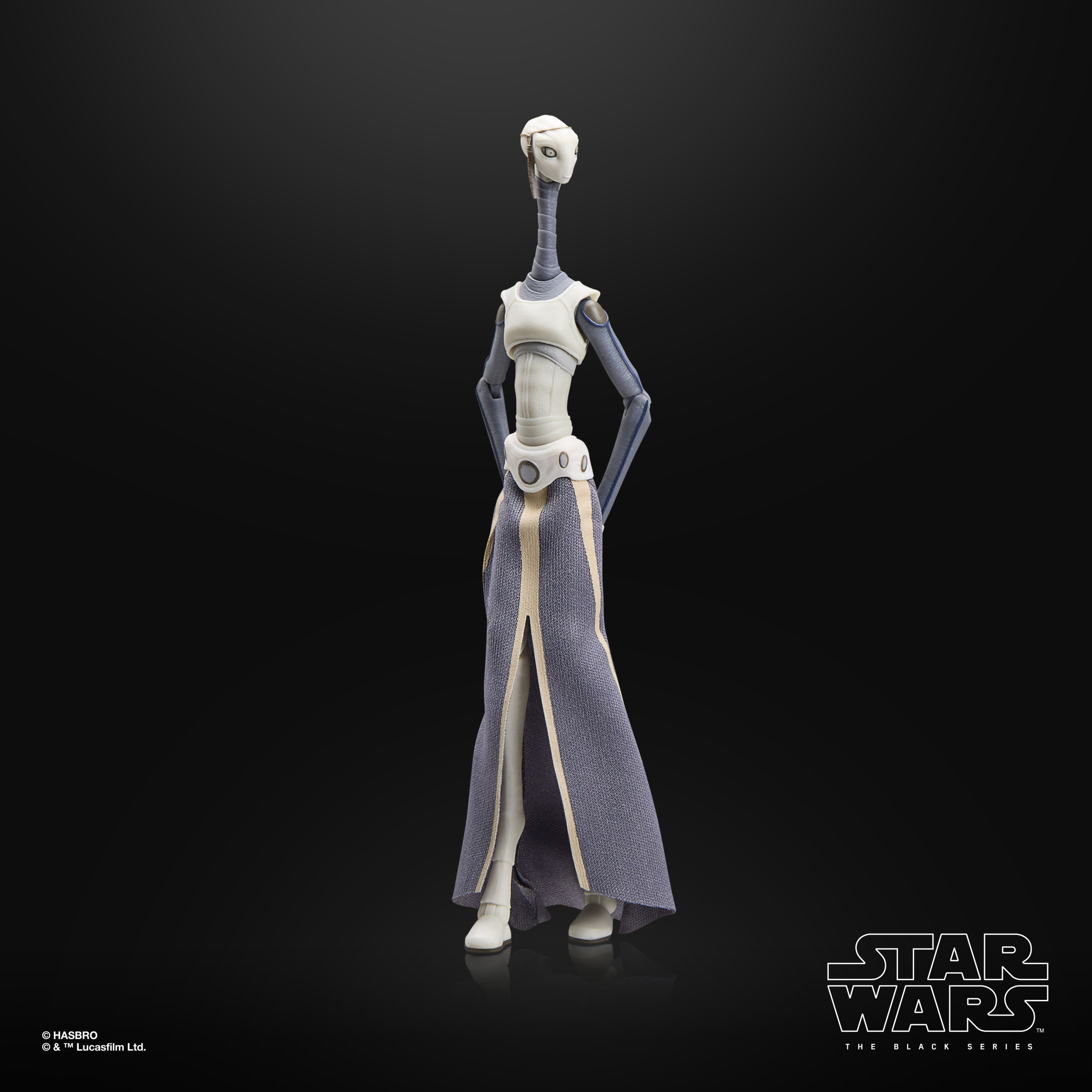 Star Wars The Black Series Taun We